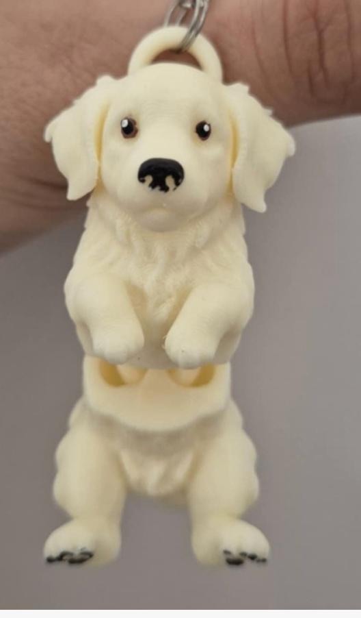 Golden Retriever Flexi Keychain β Articulated Dog Keychain